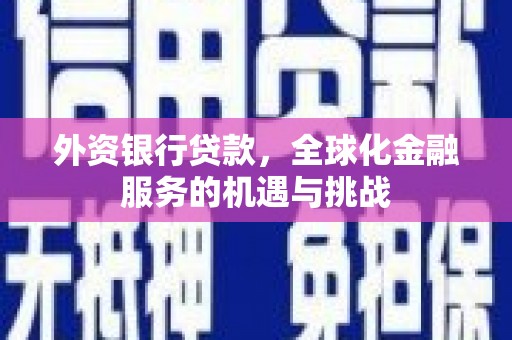 太平外资银行贷款，全球化金融服务的机遇与挑战