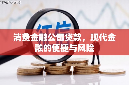 太平消费金融公司贷款，现代金融的便捷与风险
