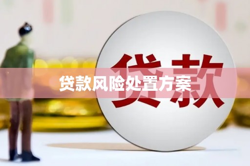 太平贷款风险处置方案