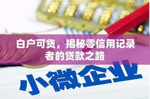 太平白户可贷，揭秘零信用记录者的贷款之路