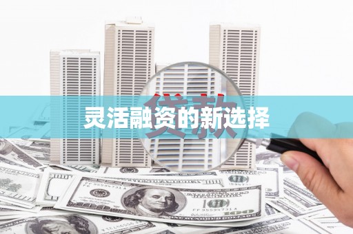 太平灵活融资的新选择