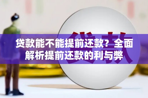 太平贷款能不能提前还款？全面解析提前还款的利与弊