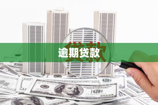 太平逾期贷款
