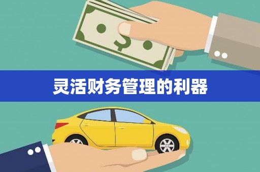 太平灵活财务管理的利器