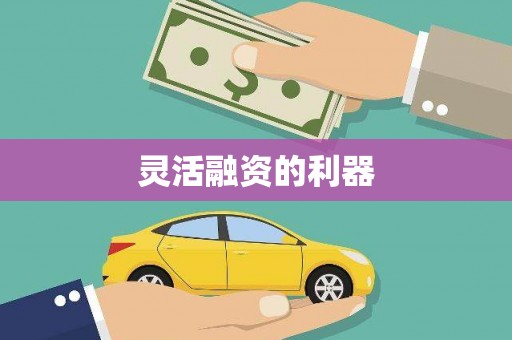 太平灵活融资的利器