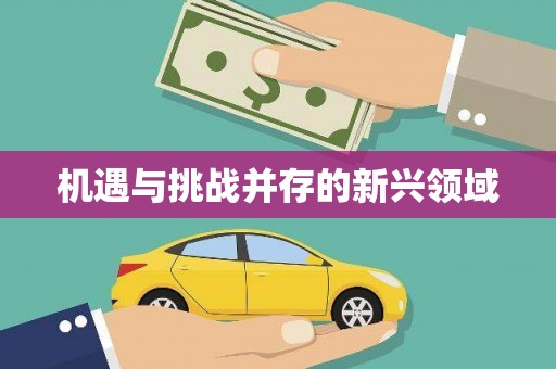 太平机遇与挑战并存的新兴领域