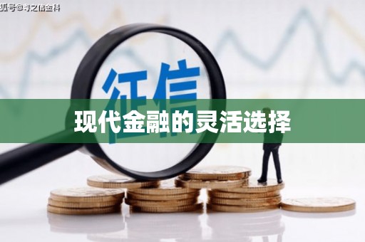 太平现代金融的灵活选择