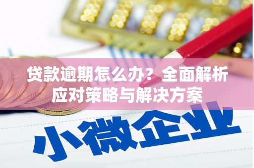 太平贷款逾期怎么办？全面解析应对策略与解决方案