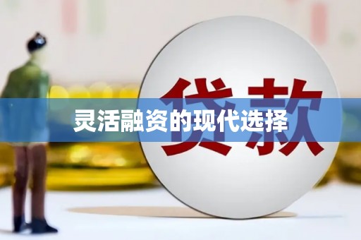 太平灵活融资的现代选择