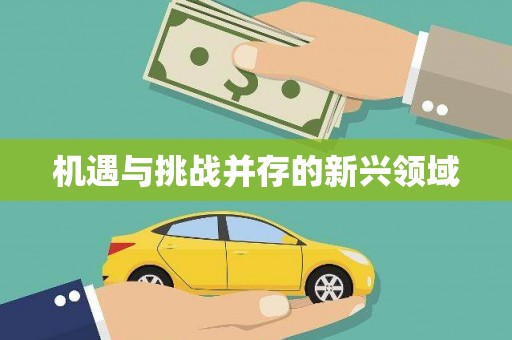 太平机遇与挑战并存的新兴领域