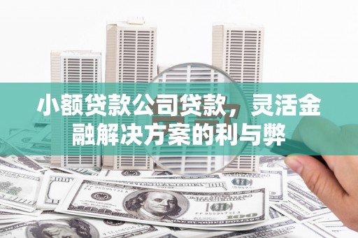 太平小额贷款公司贷款，灵活金融解决方案的利与弊